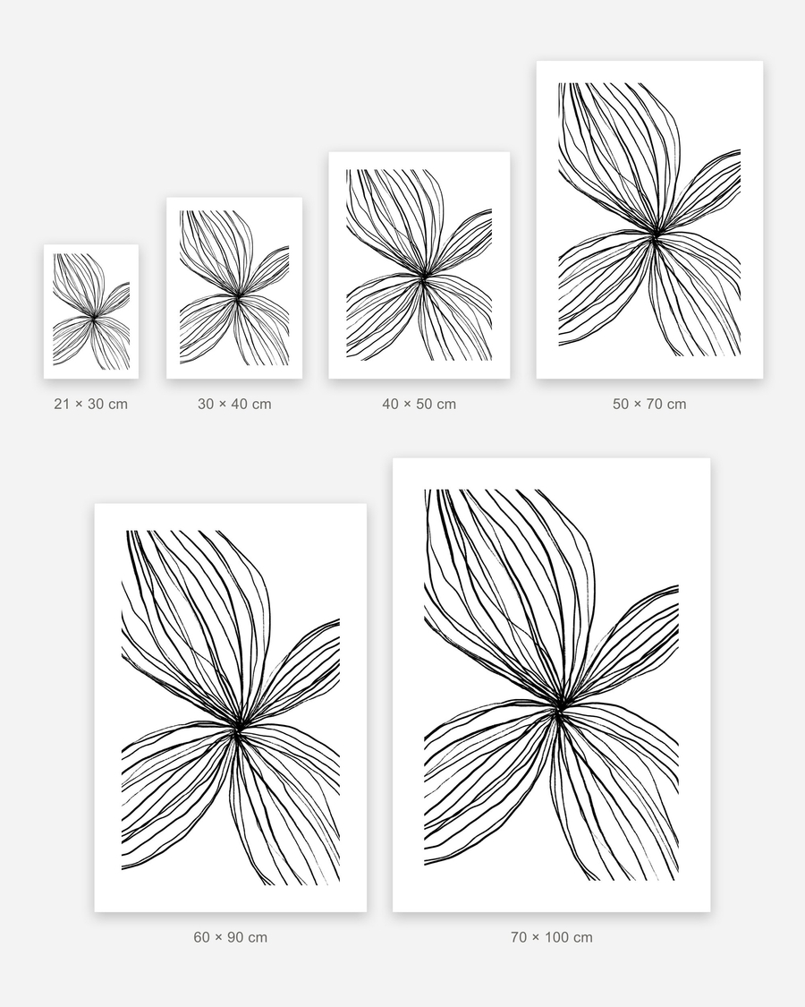 Petal Lines poster in 6 sizes, shown to scale: 21 × 30, 30 × 40, 40 × 50, 50 × 70, 60 × 90 and 70 × 100 cm