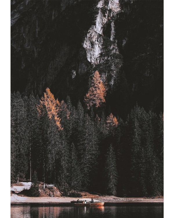 Autumn trees and forest by rocky mountain cliffs