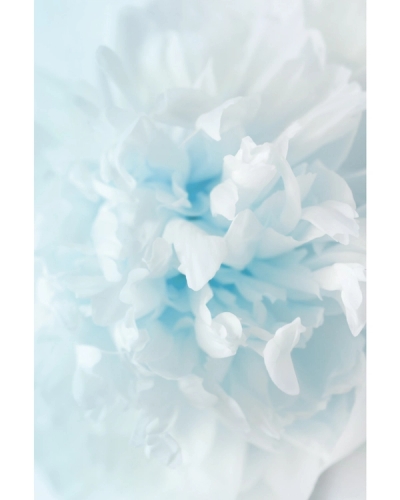 Soft white and blue abstract floral shapes