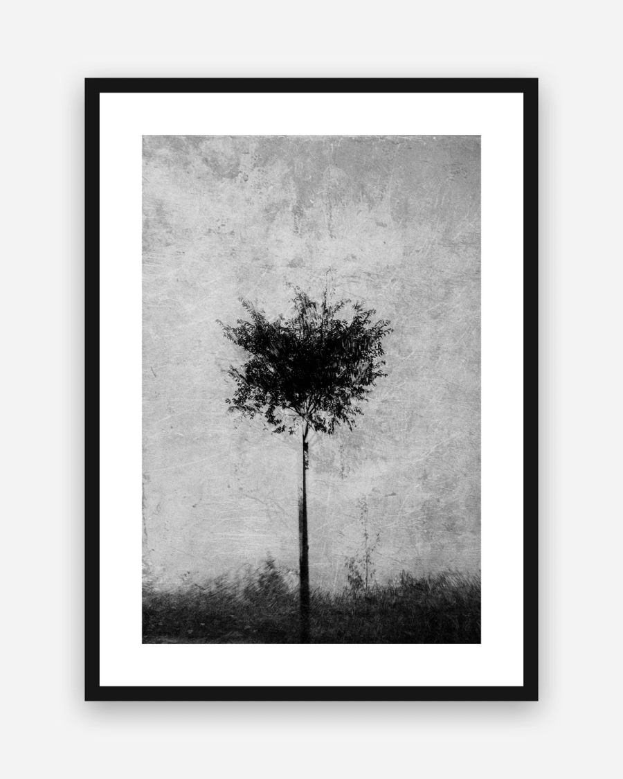 Silver Grain Tree poster with a white border in a black frame