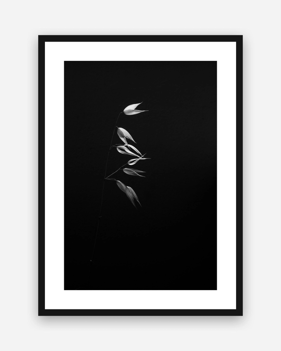 Glowing Oat Stem poster with a white border in a black frame