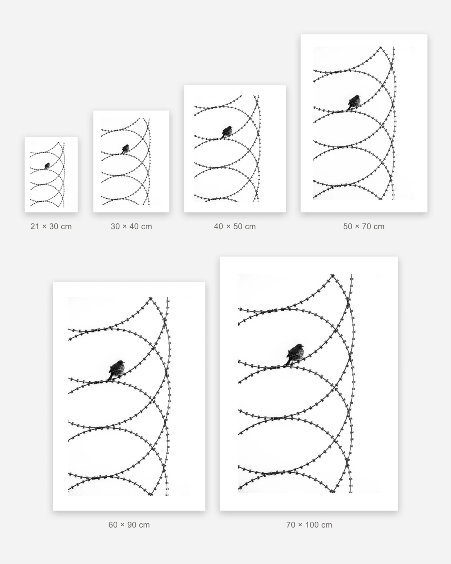 Perched on Steel poster in 6 sizes, shown to scale: 21 × 30, 30 × 40, 40 × 50, 50 × 70, 60 × 90 and 70 × 100 cm