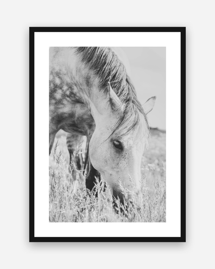 Grazing in Tall Grass poster with a white border in a black frame