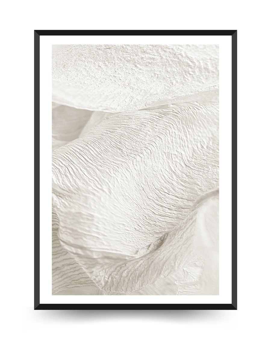A poster of a Close-up of textured dried lily petals in beige tones.