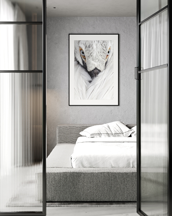 A poster of a White bird close up with sharp eyes and soft feathers