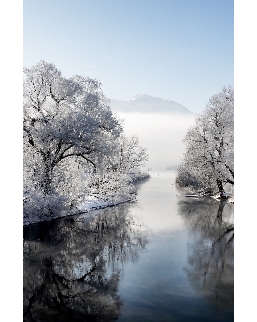 Snow-covered trees and calm river in winter landscape