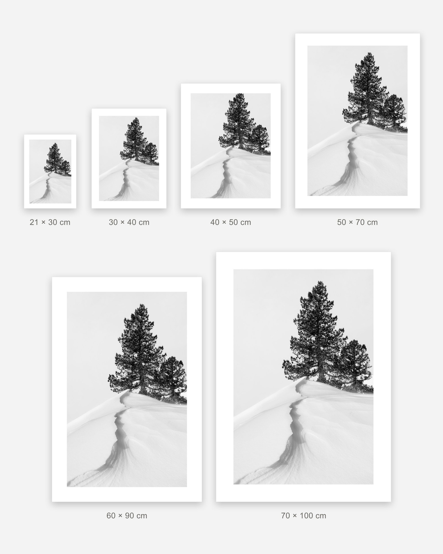 Snowdrift Pines poster in 6 sizes, shown to scale: 21 × 30, 30 × 40, 40 × 50, 50 × 70, 60 × 90 and 70 × 100 cm