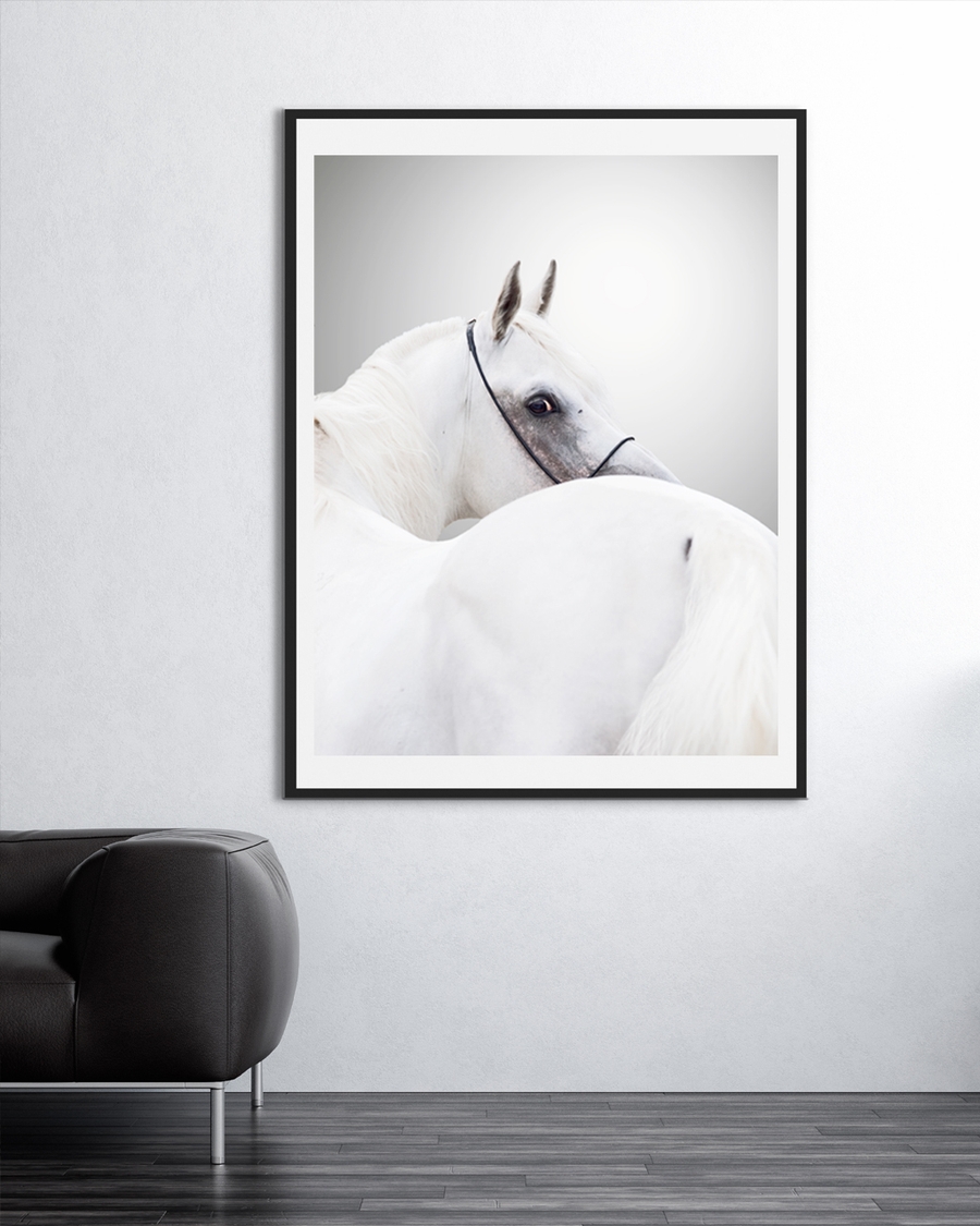 A poster of a white horse looking back with graceful elegance