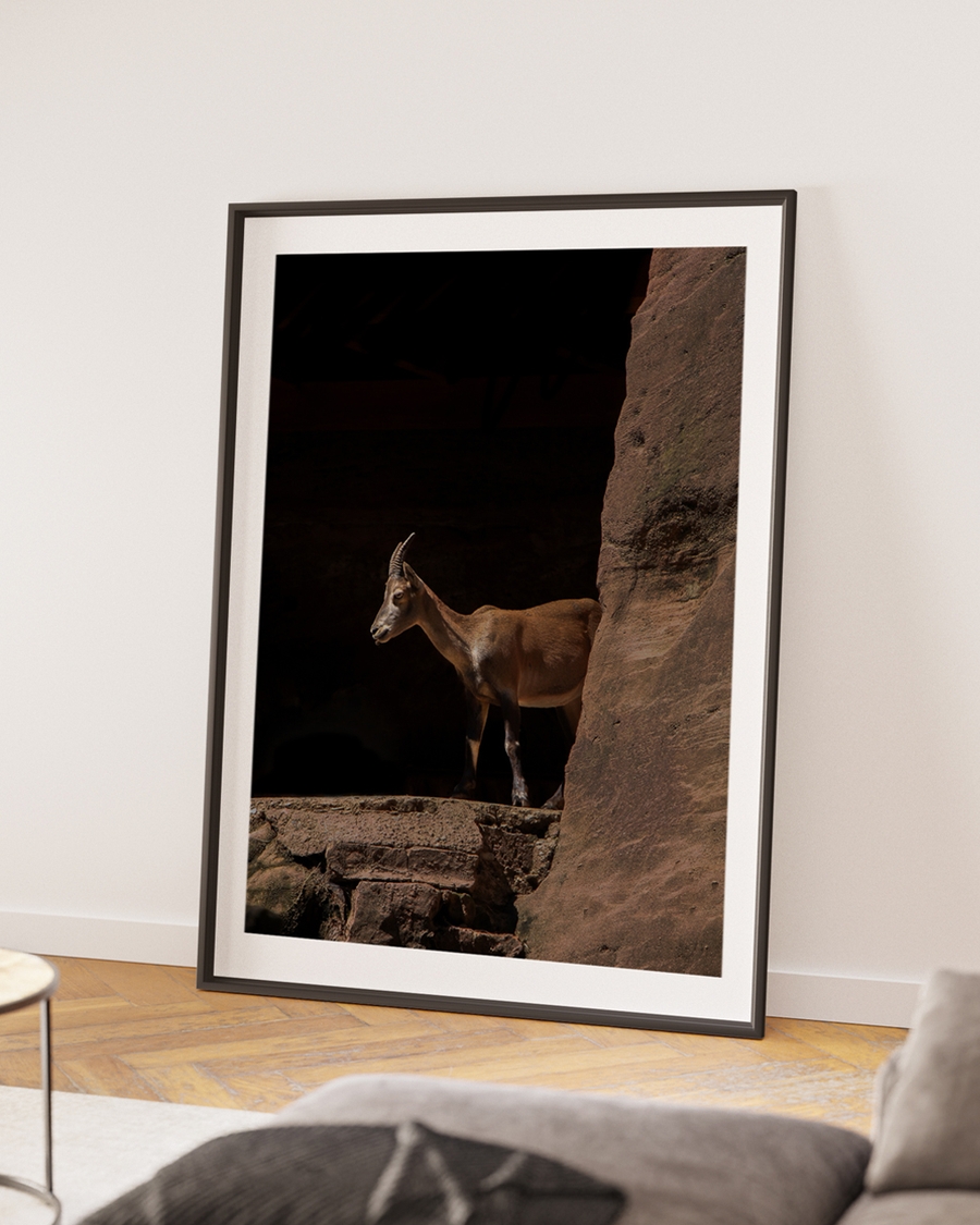 A poster of a mountain goat standing on rocky ledge in natural light