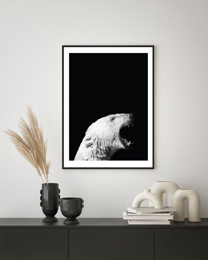 A framed poster of a roaring arctic polar bear on a white wall