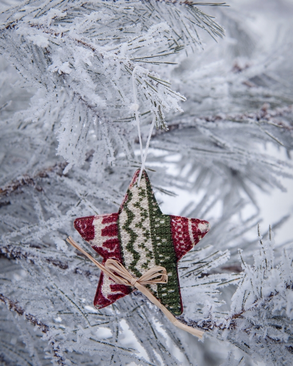 Handmade star ornament hanging on frosted pine branch