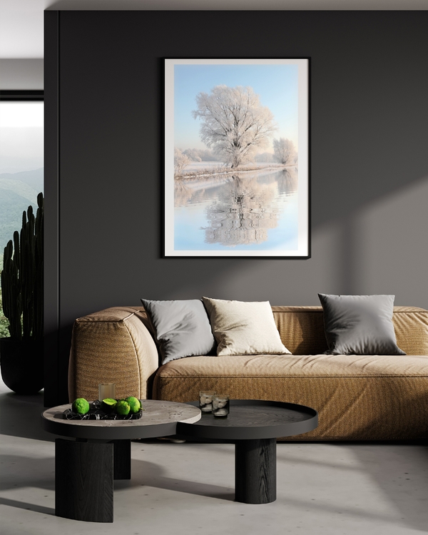 A poster of a Frost covered tree reflected in calm winter water