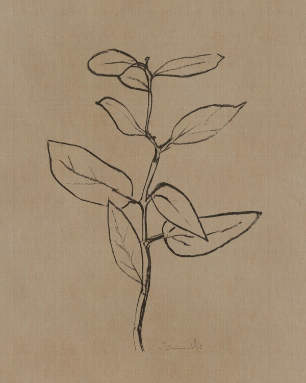 Charcoal line drawing of a leafy stem on a warm linen-beige background