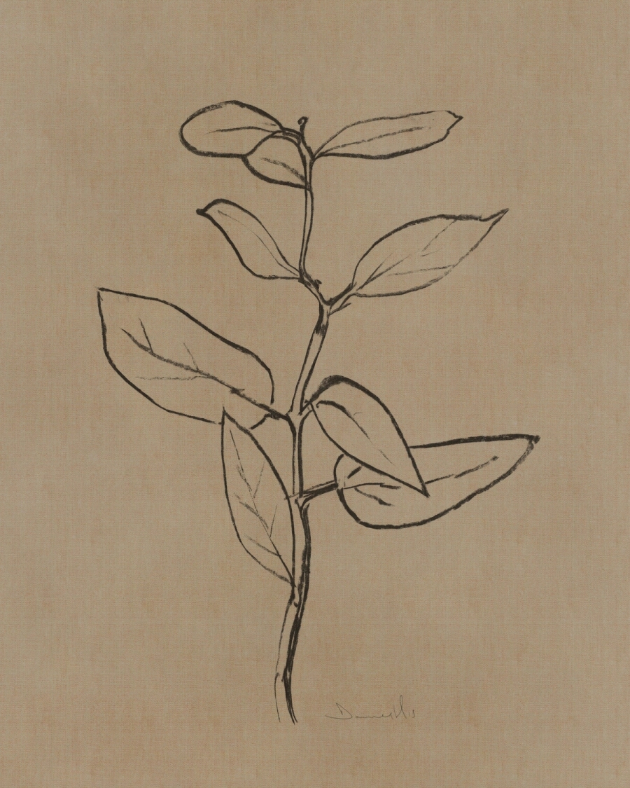 Charcoal line drawing of a leafy stem on a warm linen-beige background