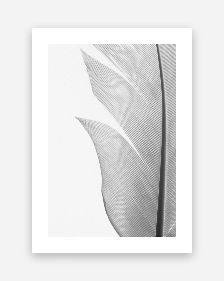 Silver Quill poster with a white border, unframed on a light gray background