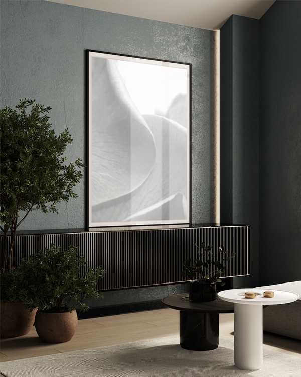 A poster of a Soft white petals in minimal macro closeup