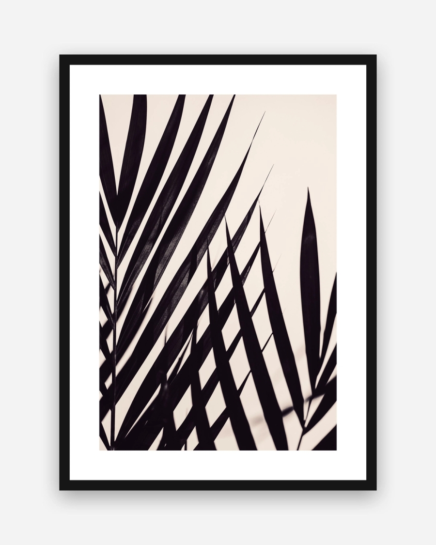 Palm Silhouette poster with a white border in a black frame
