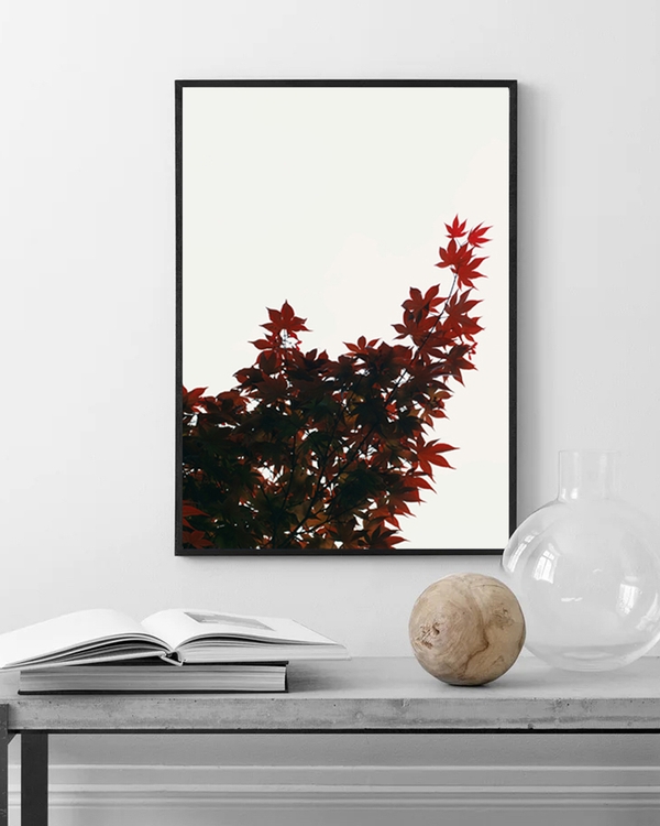 Poster of a crimson maple tree leaves on a white wall over a silver table