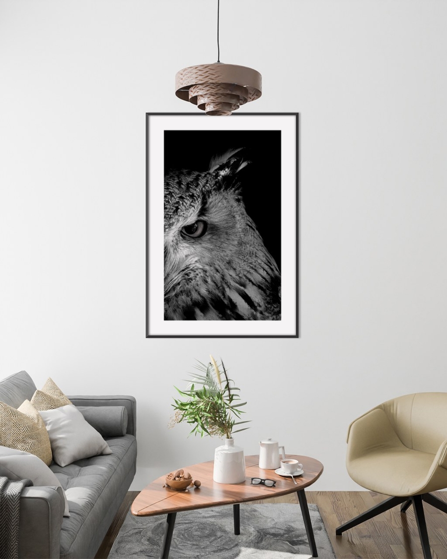 Owl in Shadow poster in a slim black frame above a wooden coffee table in a bright living room
