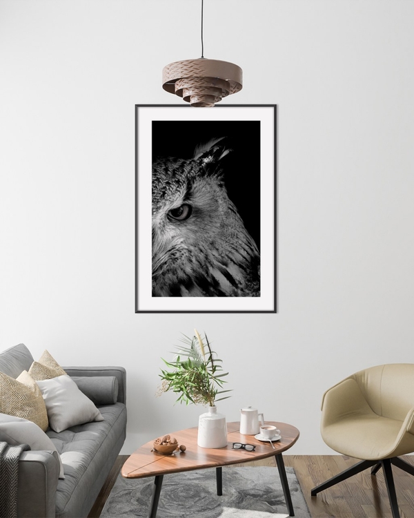 Owl in Shadow poster in a slim black frame above a wooden coffee table in a bright living room