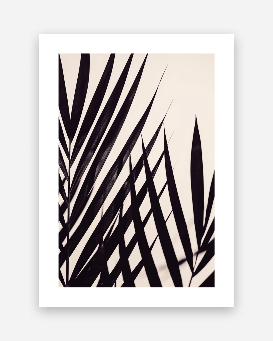 Palm Silhouette poster with a white border, unframed on a light gray background