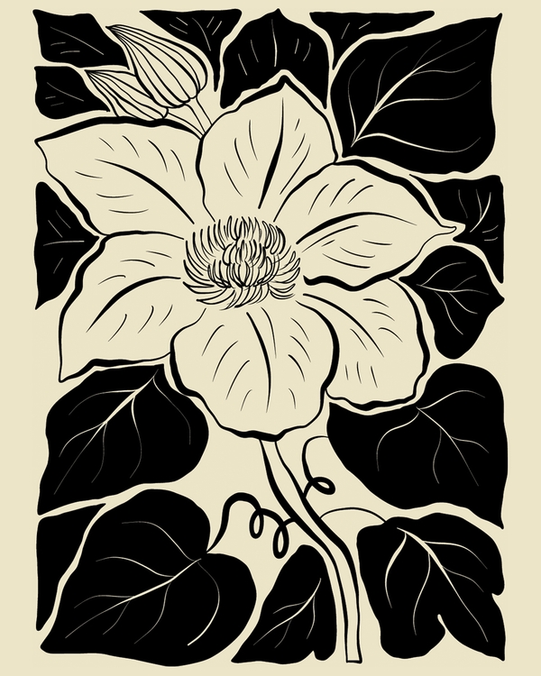 Botanical flower illustration with bold black leaves