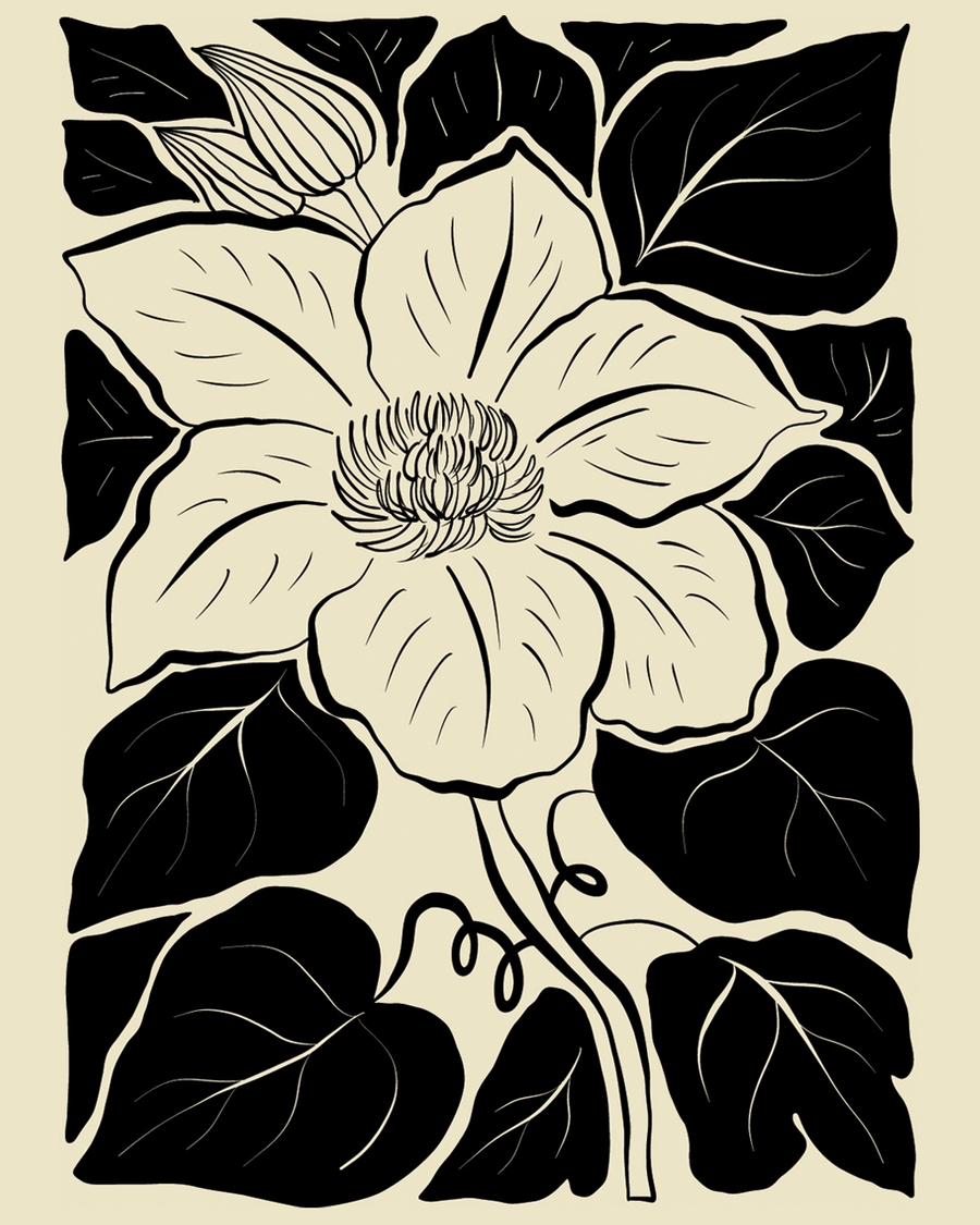 Botanical flower illustration with bold black leaves
