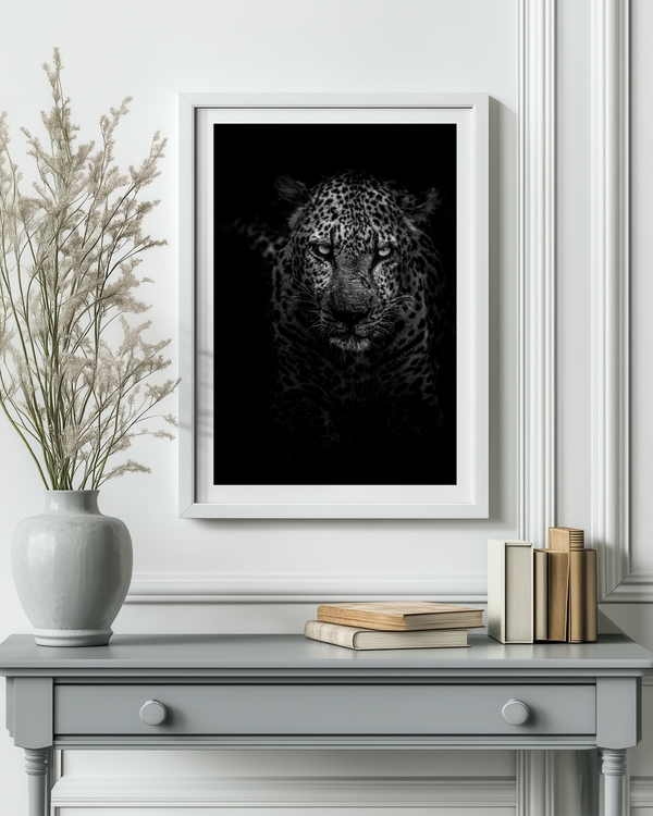 A poster of a Black-and-white leopard portrait with intense eyes in dark background