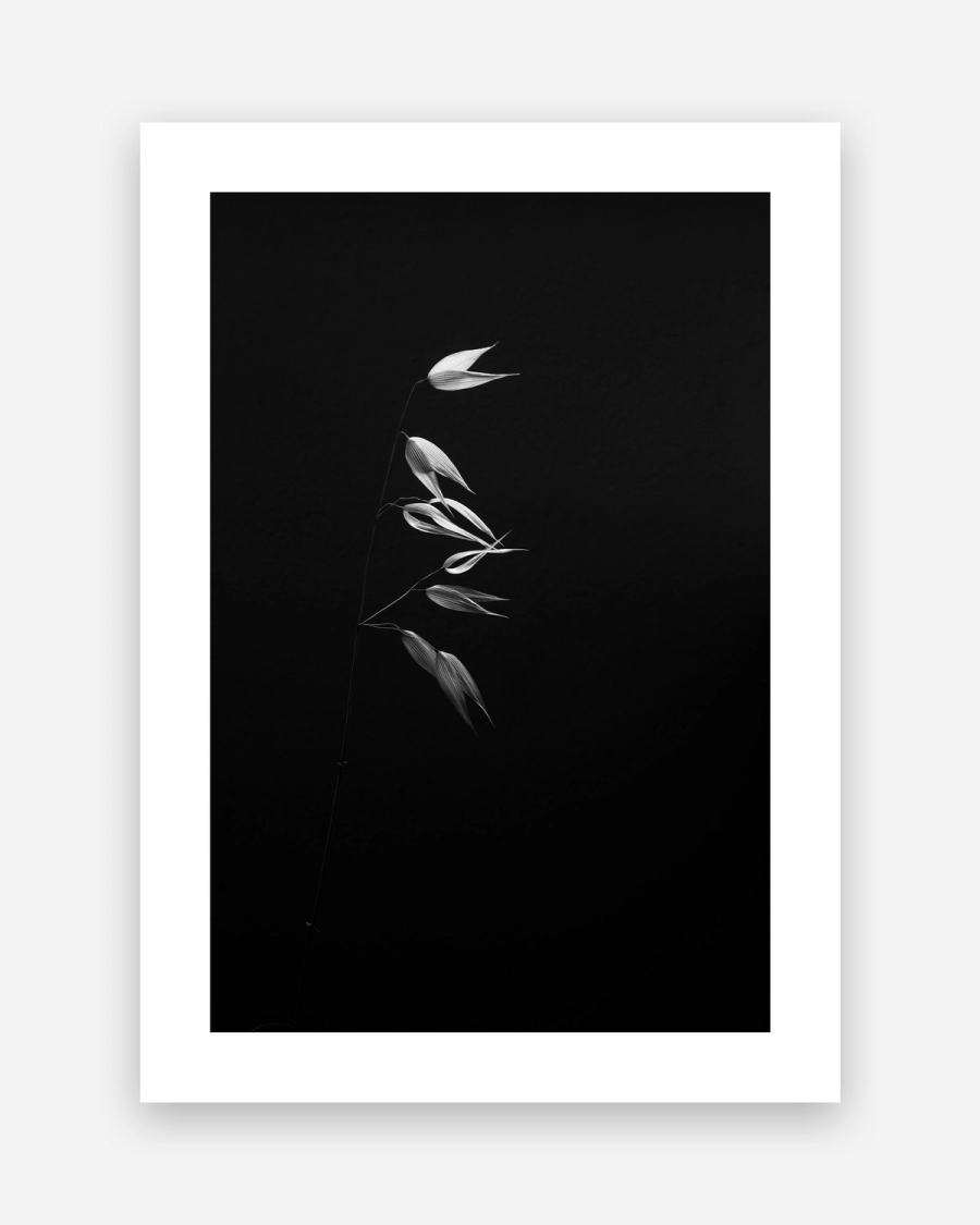 Glowing Oat Stem poster with a white border, unframed on a light gray background
