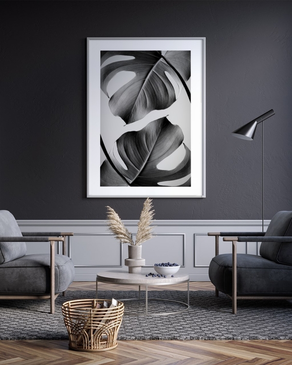 Monstera in Gray poster in a white frame on a dark grey wall above two armchairs
