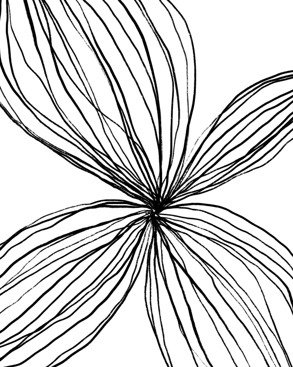 Minimal line drawing of a stylized flower with fanned petals in black ink on white