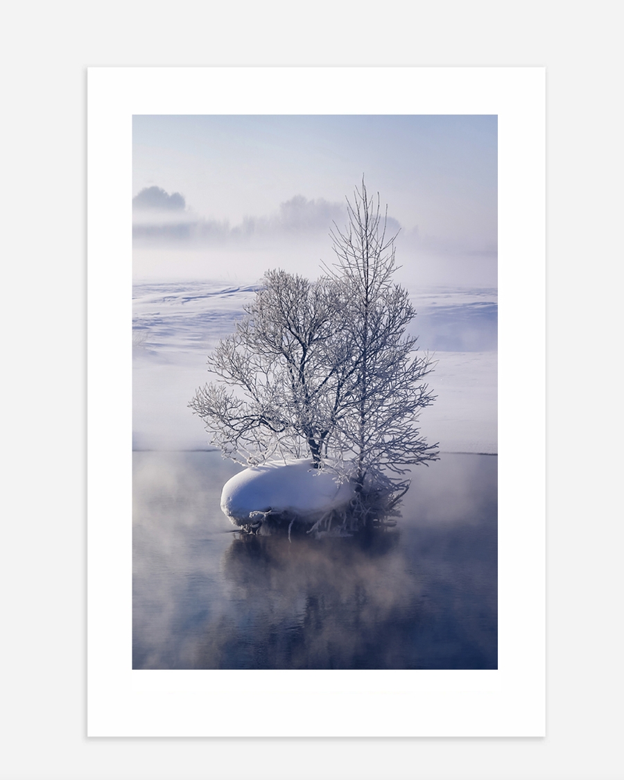 A poster of a Snow-covered tree reflected in calm winter water.