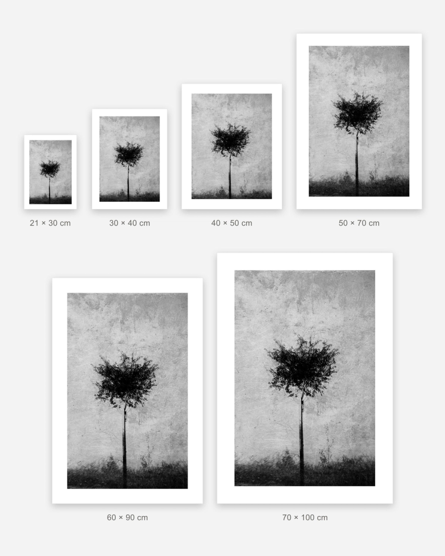 Silver Grain Tree poster in 6 sizes, shown to scale: 21 × 30, 30 × 40, 40 × 50, 50 × 70, 60 × 90 and 70 × 100 cm