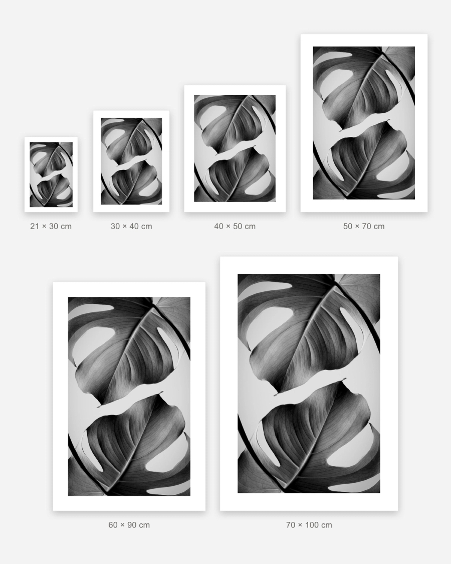 Monstera in Gray poster in 6 sizes, shown to scale: 21 × 30, 30 × 40, 40 × 50, 50 × 70, 60 × 90 and 70 × 100 cm
