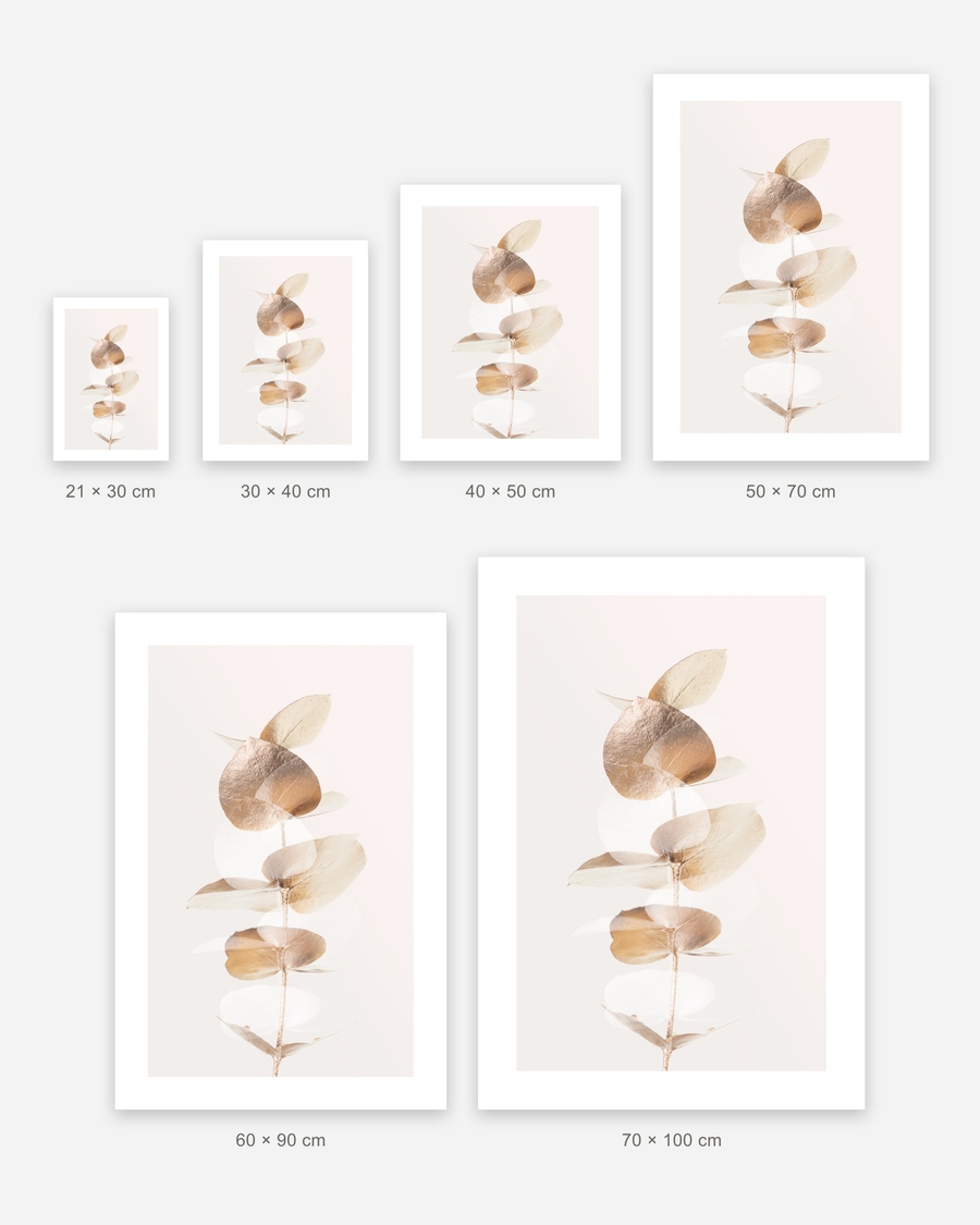Gilded Eucalyptus poster in 6 sizes, shown to scale: 21 × 30, 30 × 40, 40 × 50, 50 × 70, 60 × 90 and 70 × 100 cm