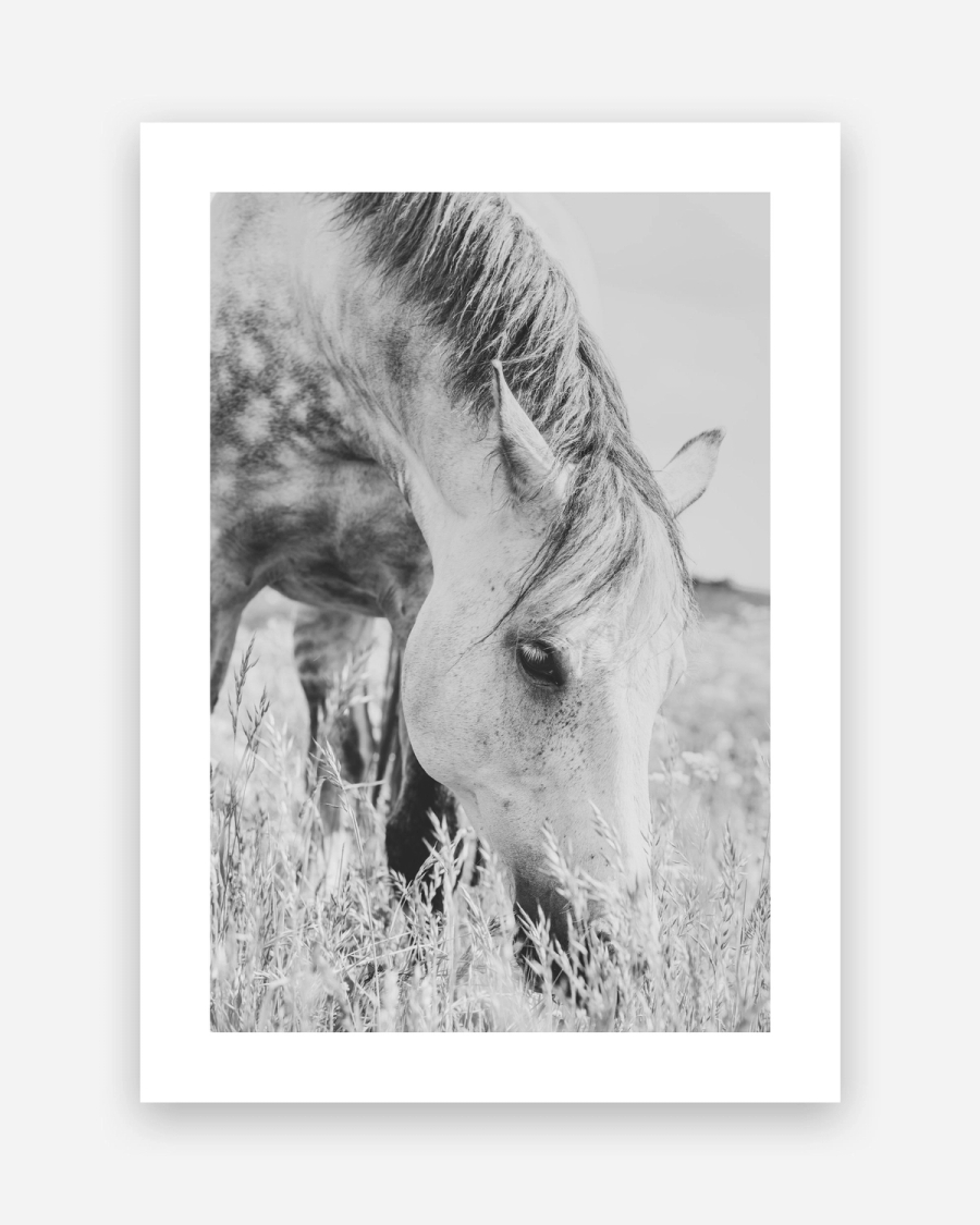 Grazing in Tall Grass poster with a white border, unframed on a light gray background