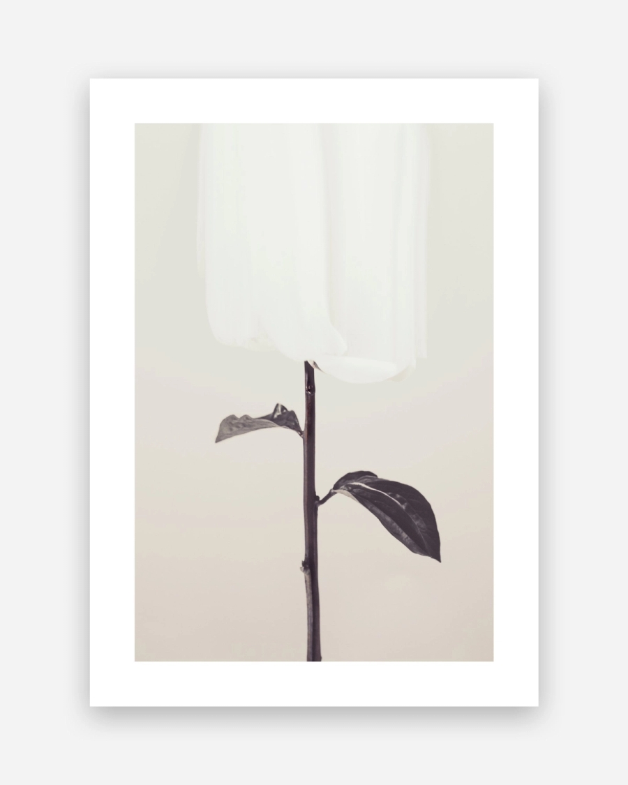 Veiled Bloom poster with a white border, unframed on a light gray background