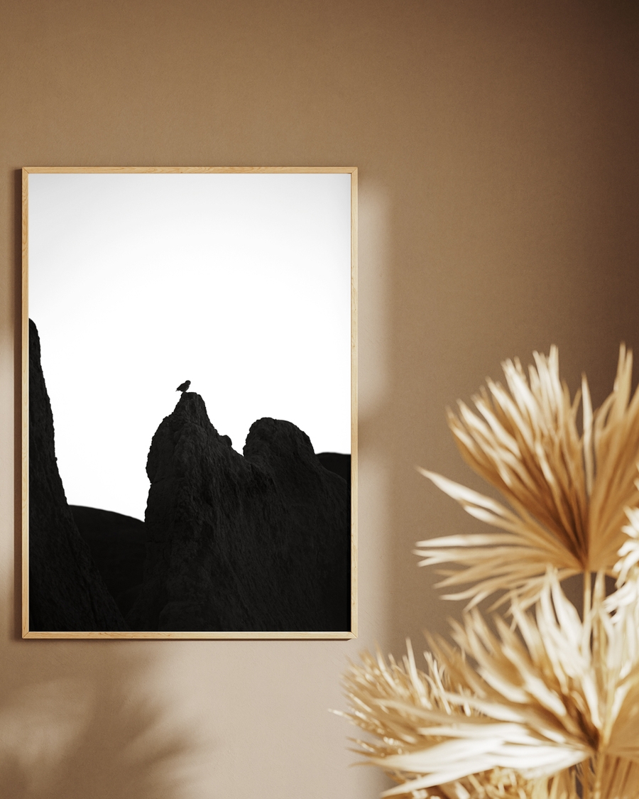 A framed poster of a lonely owl on a rock in black and white