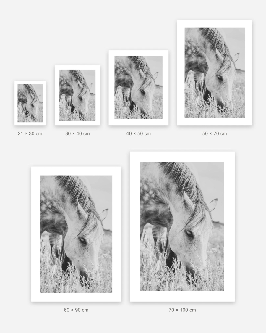 Grazing in Tall Grass poster in 6 sizes, shown to scale: 21 × 30, 30 × 40, 40 × 50, 50 × 70, 60 × 90 and 70 × 100 cm