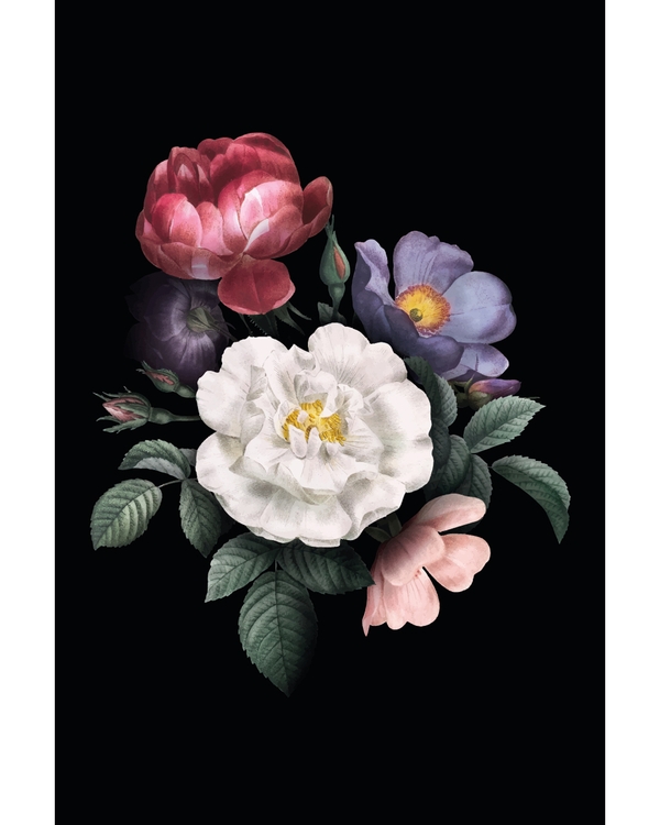 Botanical flowers in rich colors on black