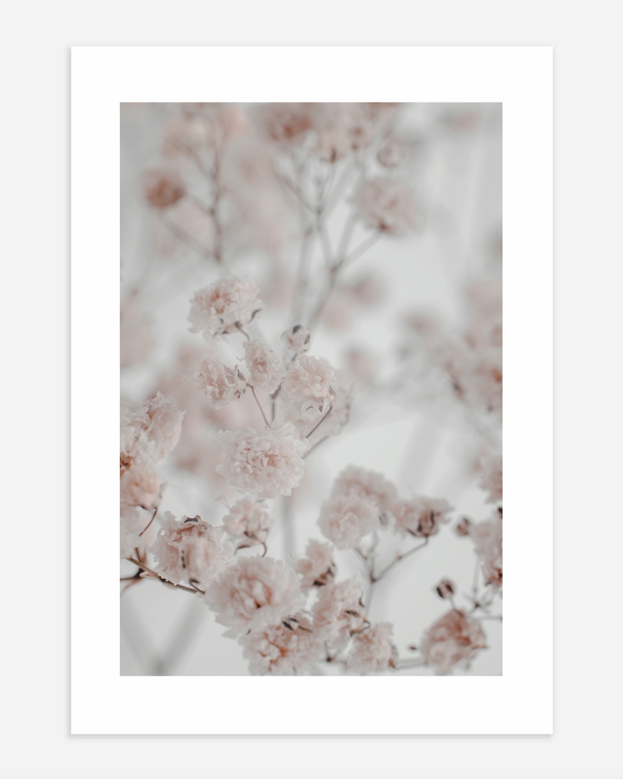 A poster of a Soft pale flowers with airy and blurred background