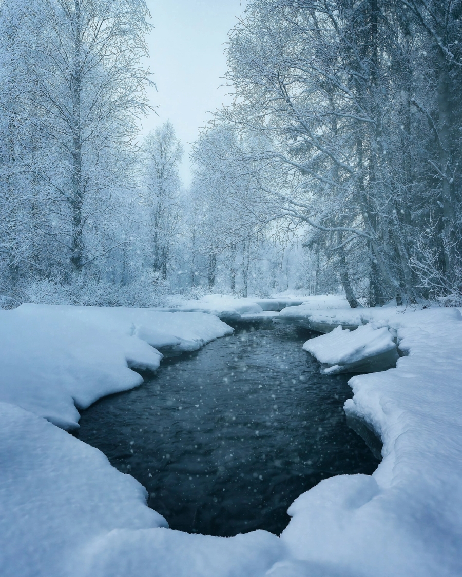 Dark forest stream winding between deep snowbanks with frost-covered trees in pale blue light