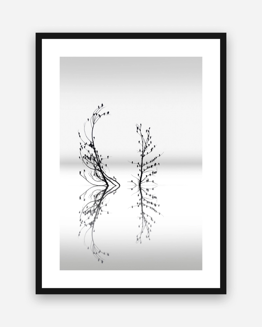 Birds on Still Water poster with a white border in a black frame