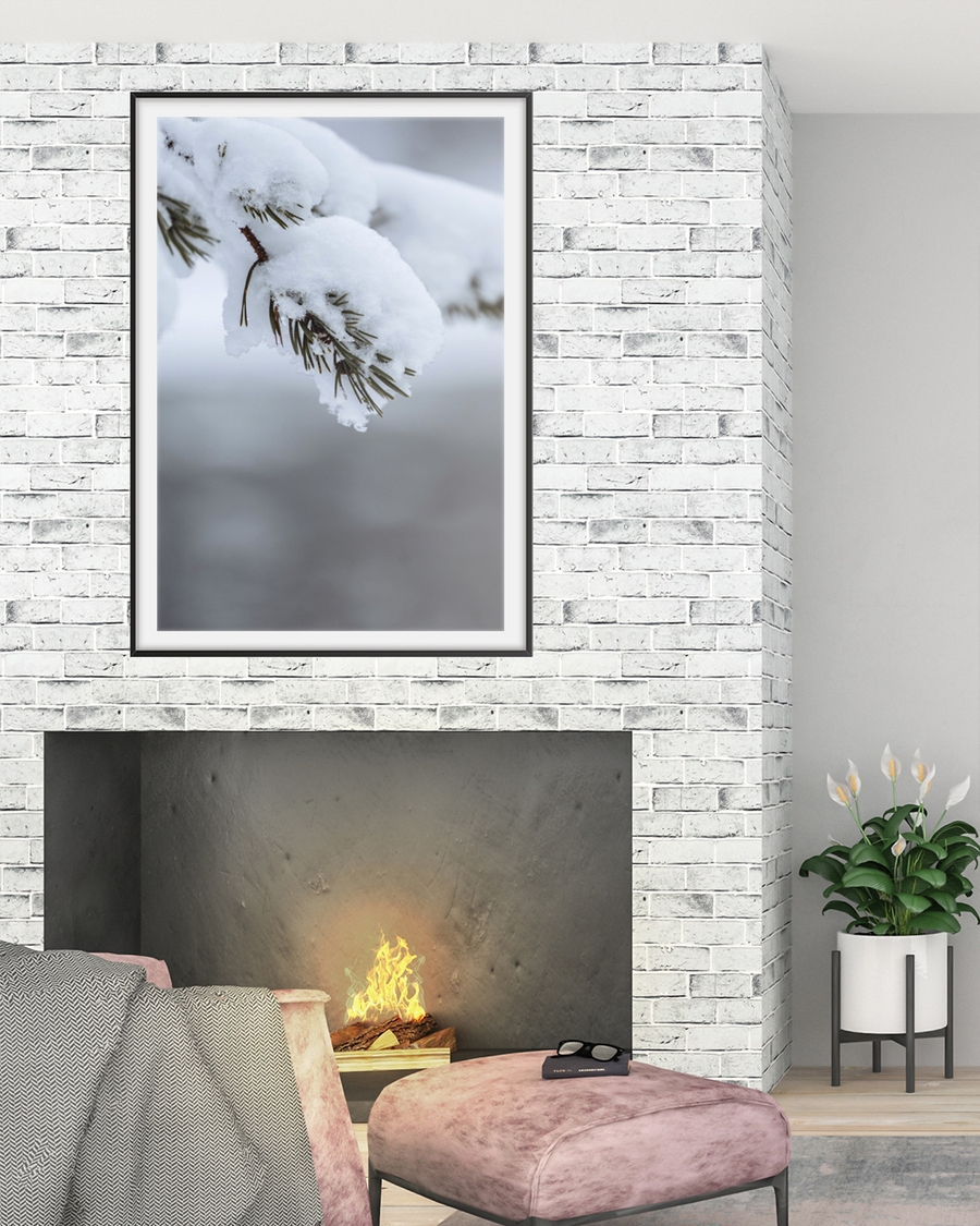 A poster of a Snow covered pine branch in soft winter light