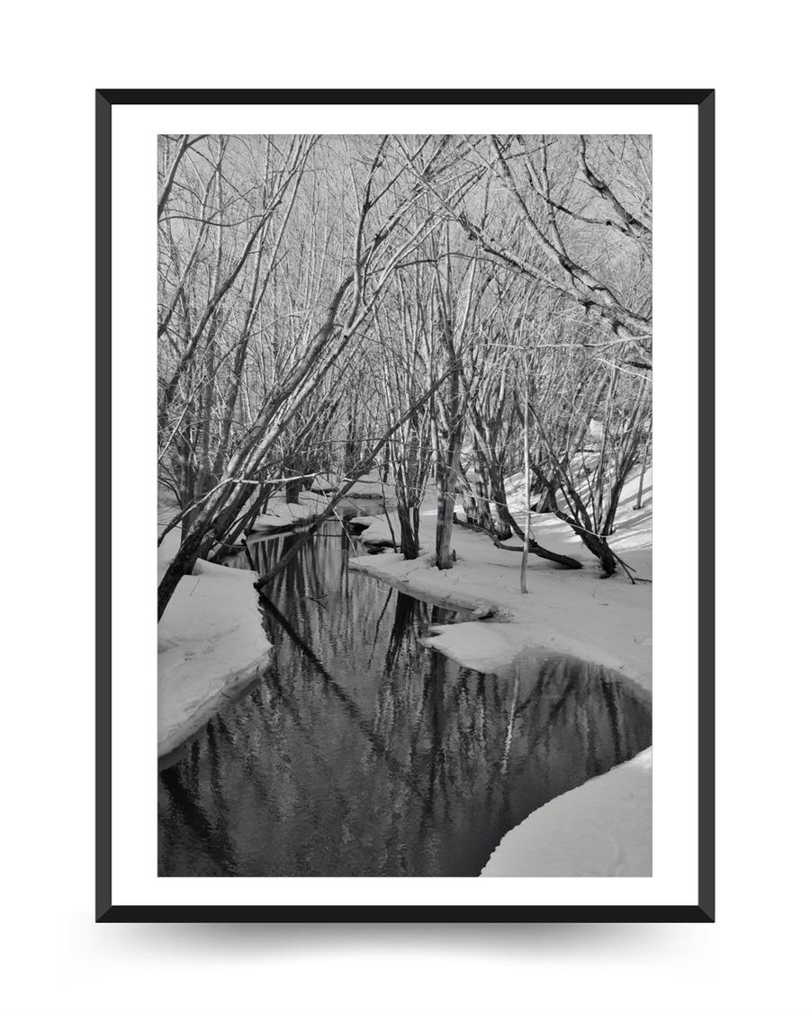A poster of a Black and white winter stream through bare trees