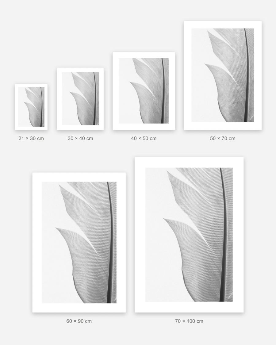 Silver Quill poster in 6 sizes, shown to scale: 21 × 30, 30 × 40, 40 × 50, 50 × 70, 60 × 90 and 70 × 100 cm