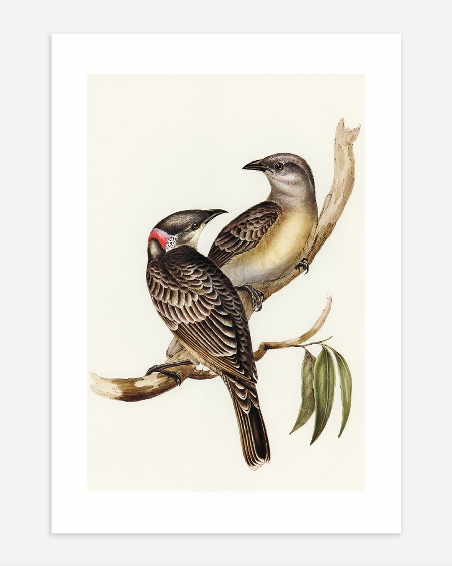 A poster of a Illustrated birds sitting together on tree branch