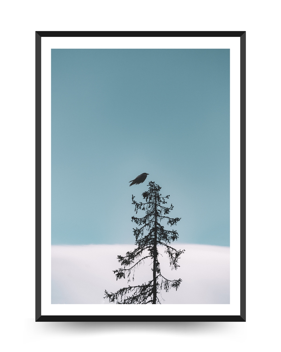 A poster of a Bird resting on tall tree against open sky