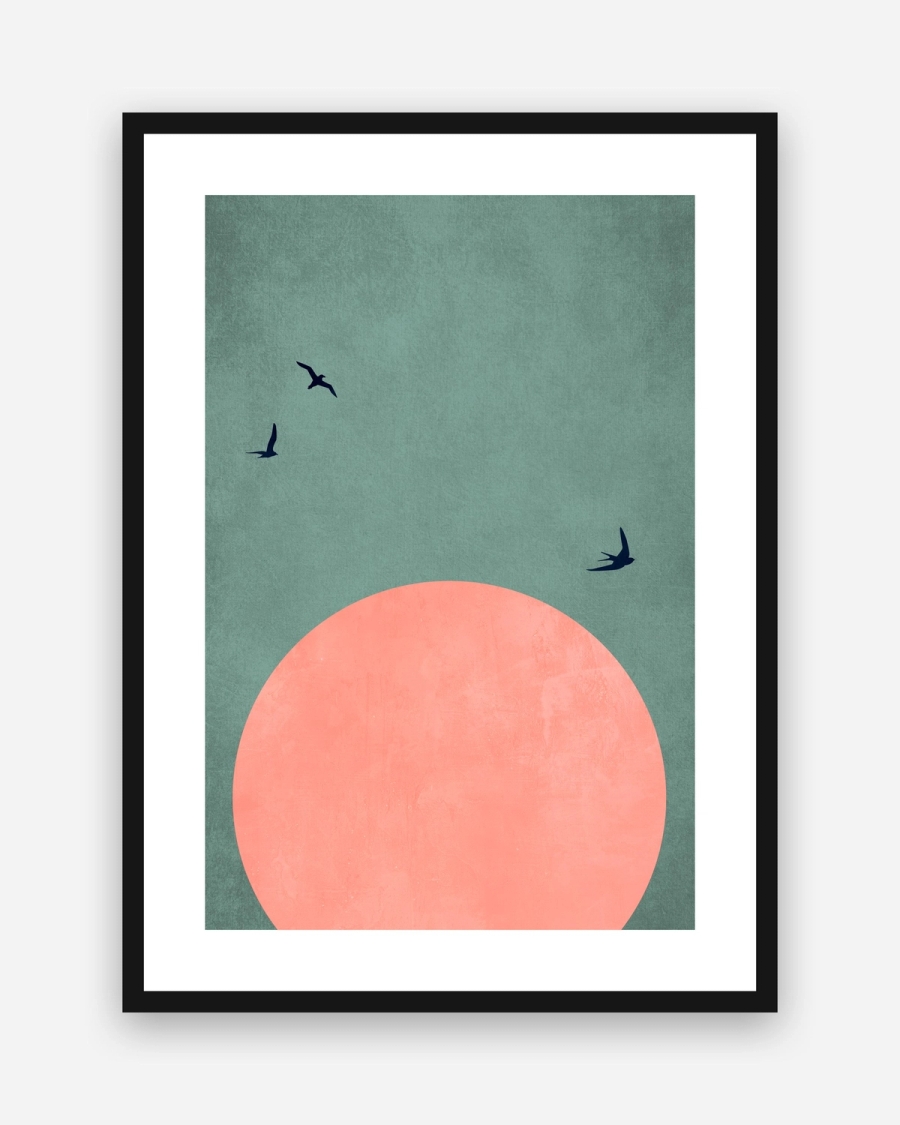 Coral Sun Flight poster with a white border in a black frame