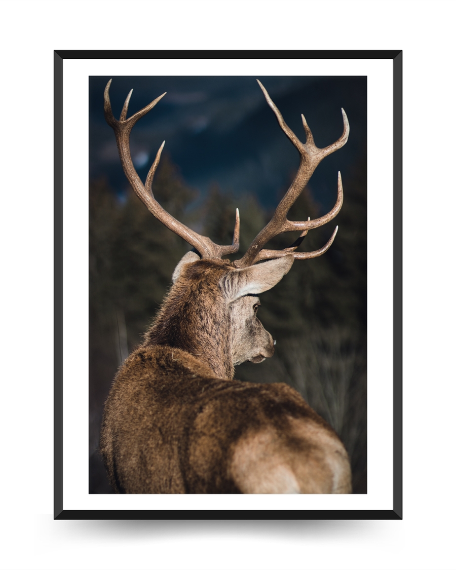A poster of a Deer with antlers standing in Nordic landscape